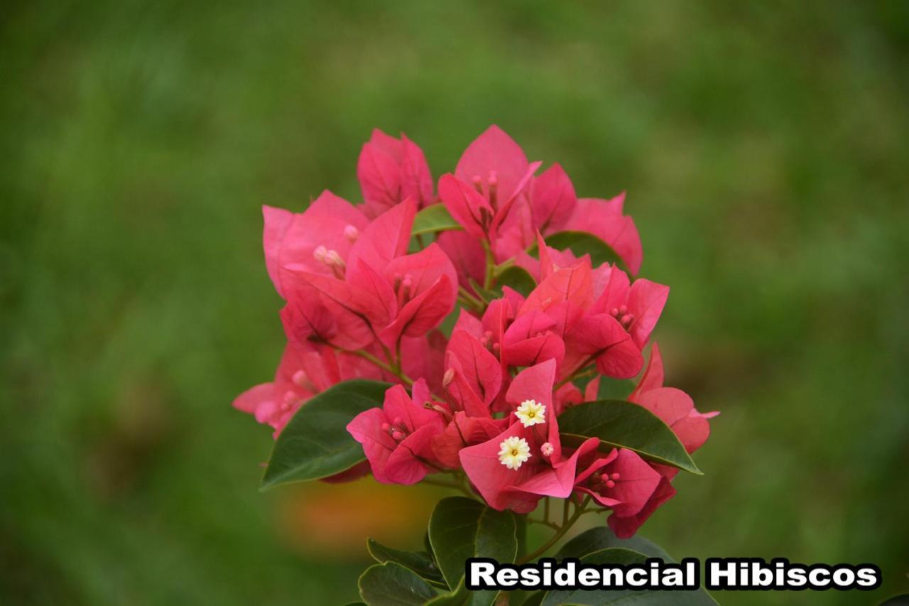 Residencial Hibiscos - Vista Mar Villa Гаропаба Екстериор снимка